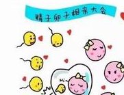 2026年山东齐鲁医院试管婴儿成功率分析