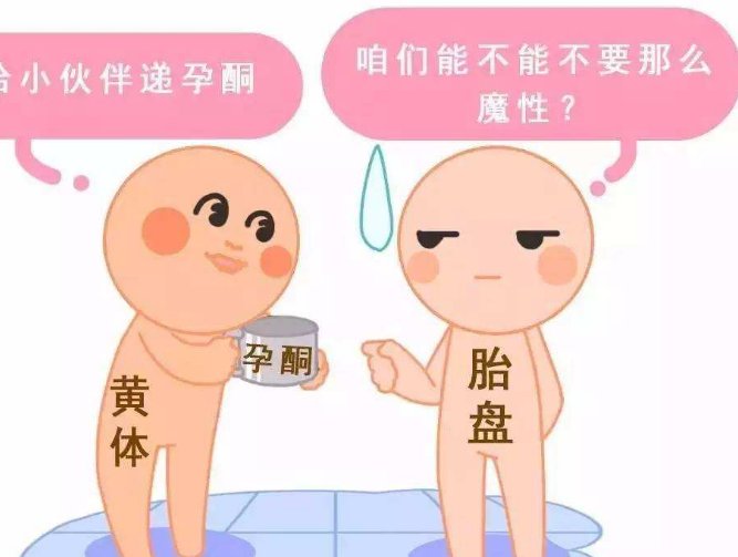 湛江试管婴儿机构费用10万以上推荐指南